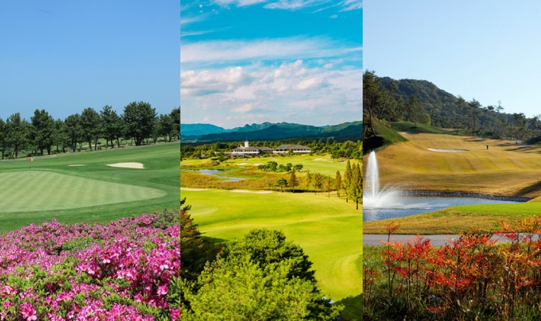 Understanding the Characteristics of Golf Course Turf and How to Tackle a Round Through 'Cool-Season Grass' and 'Korean Grass' 3 0b458c25336f971602122742fbc23b4e